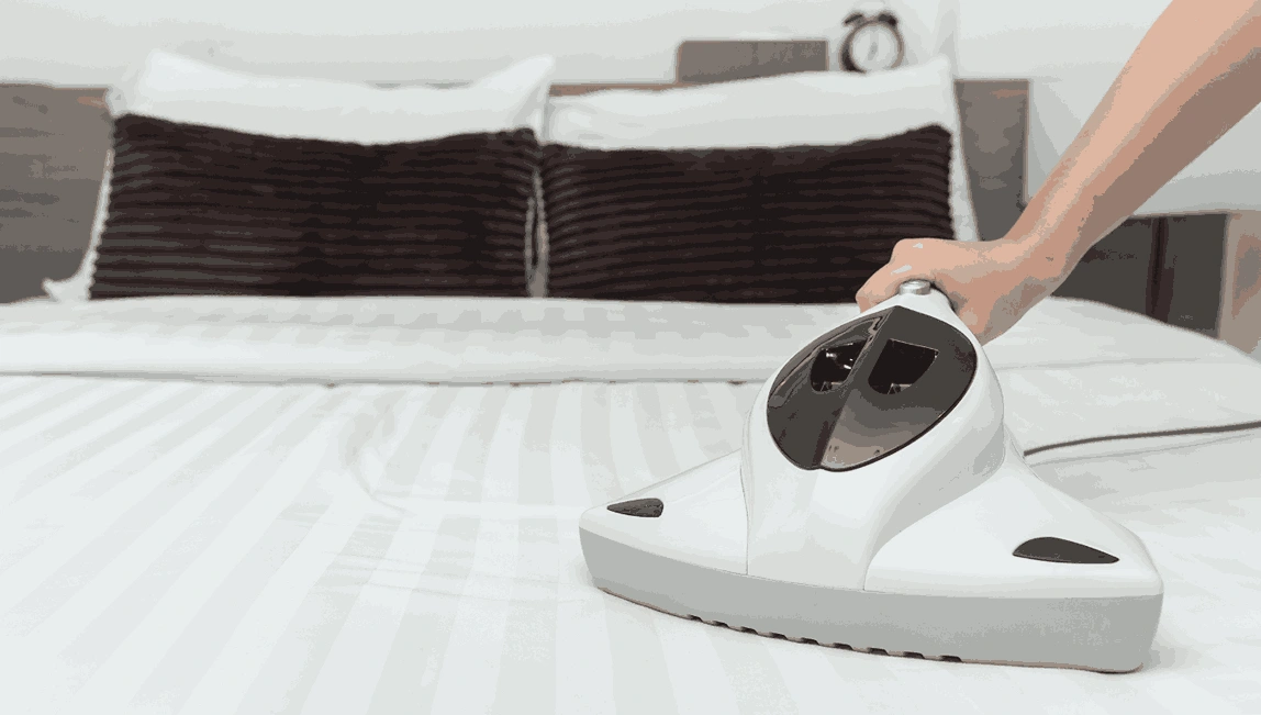 Professional Mattress Cleaning Prahran